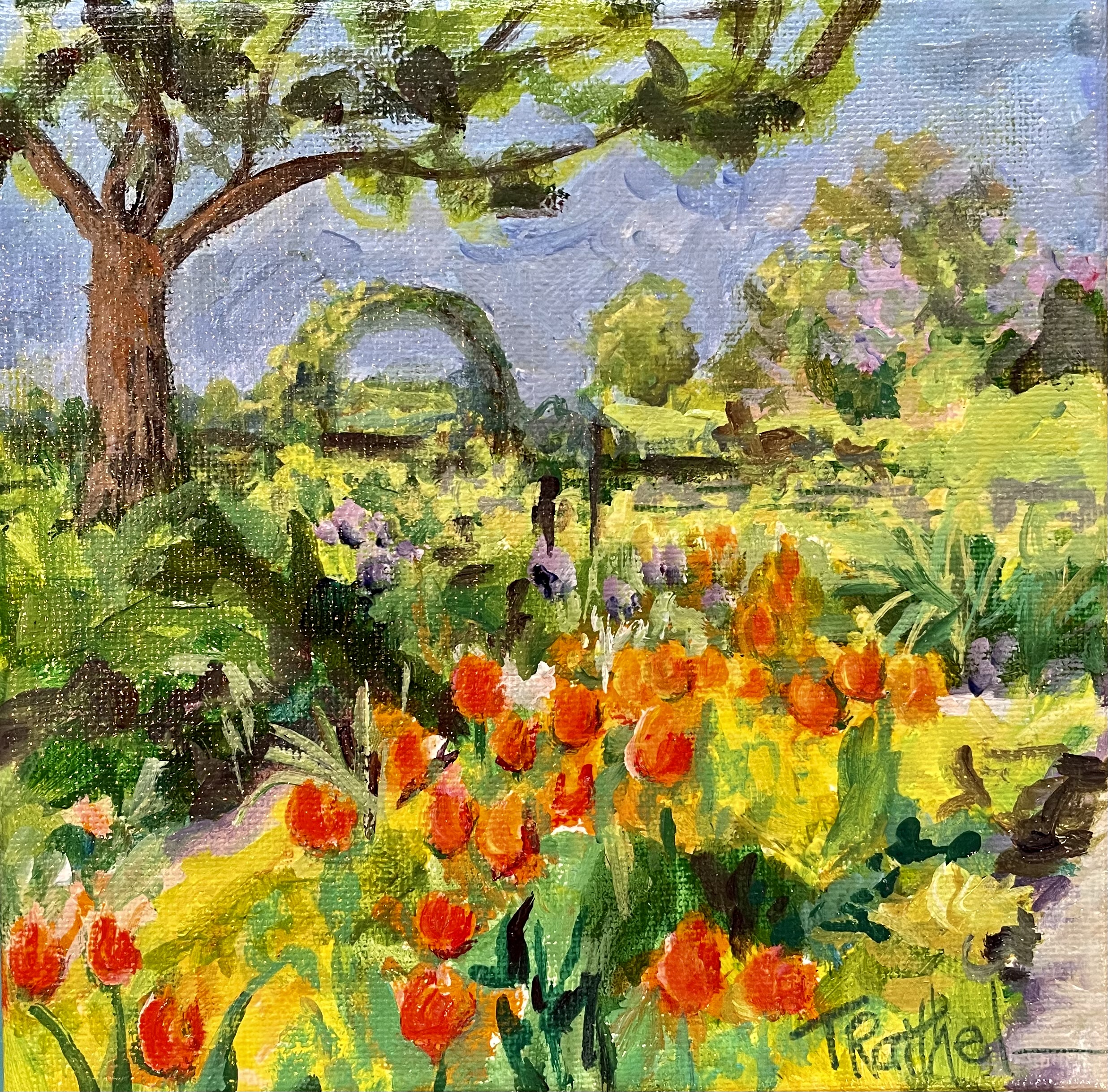 Orange Tulips at Giverny